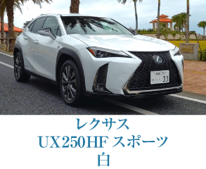 レクサス UX250H Fスポーツ 白